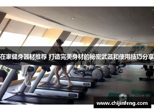 在家健身器材推荐 打造完美身材的秘密武器和使用技巧分享